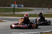 DSC_0241 (5)